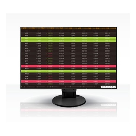 24" LED EIZO EV2456-WUXGA,IPS,DP,USB,piv,rep,bk